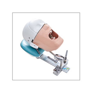 Modèle de tête fantôme de mannequin de simulateur dentaire d'usine - Product Image 1