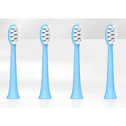 Tête de brosse bleue