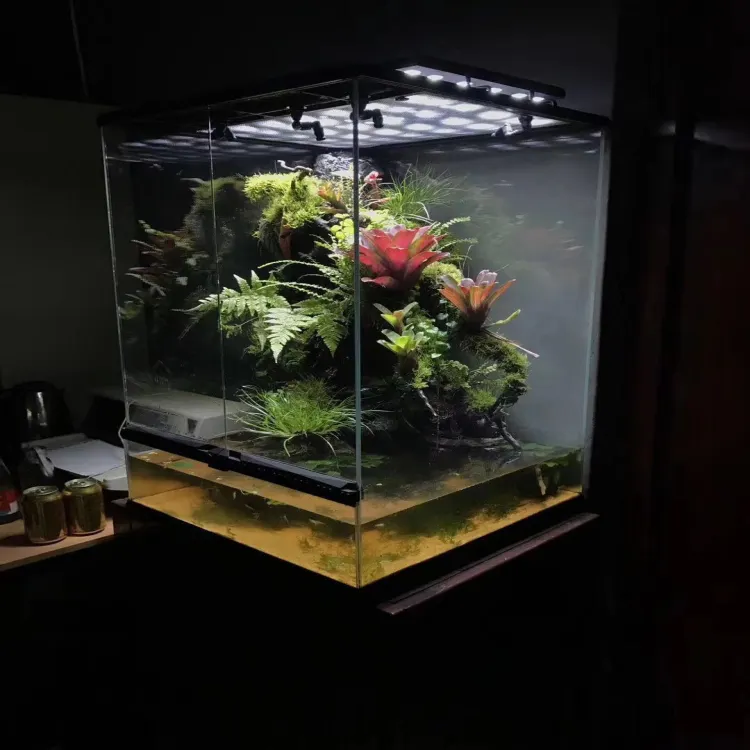 Lampe LED minces pour Aquarium, 3 pièces, éclairage tête de poisson, forêt, croissance de plantes d'eau