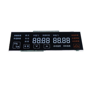 Pantalla LCD con control de temperatura de segmento monocromático personalizado