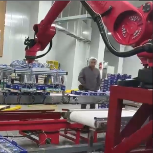 Hochpräziser 6-Achsen-Roboter mit 3500mm Armlänge zum Laden/Handhaben/Stapeln ± 0,2mm Wiederholbar keit, IP40-Schutz, 100kg - Product Image 2