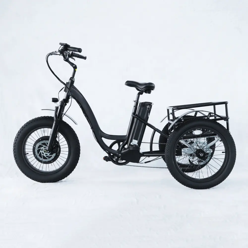 Triciclo eléctrico de 3 ruedas para adulto, triciclo chino de carga, neumáticos anchos, 750w/500W