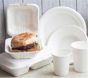 กล่องบรรจุ Biryani 3ช่องถาดโชว์อาหารแบบย่อยสลายได้ - Product Image 5