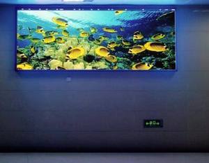 LDZ модуль дисплея Rgb Slim P1.6 P1.9 уличная матрица Longrun Ledwall настенный экран Pantalla панель Modulo De Painel Крытый светодиодный P2 - Product Image 5