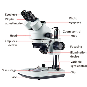 Microscópio <span class=keywords><strong>digital</strong></span> estéreo trinocular 3,5 x-90x para observação laboratorial