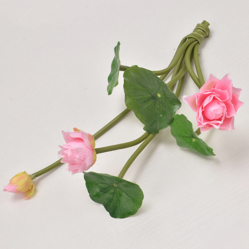 Pequeño Loto Rosa