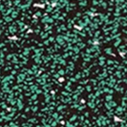 Verde con motas blancas