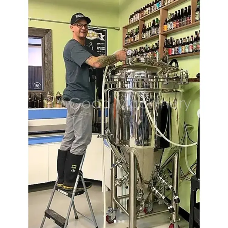 Microbrewery Pilot Beer que hace la máquina todo en un sistema de elaboración de cerveza 100l