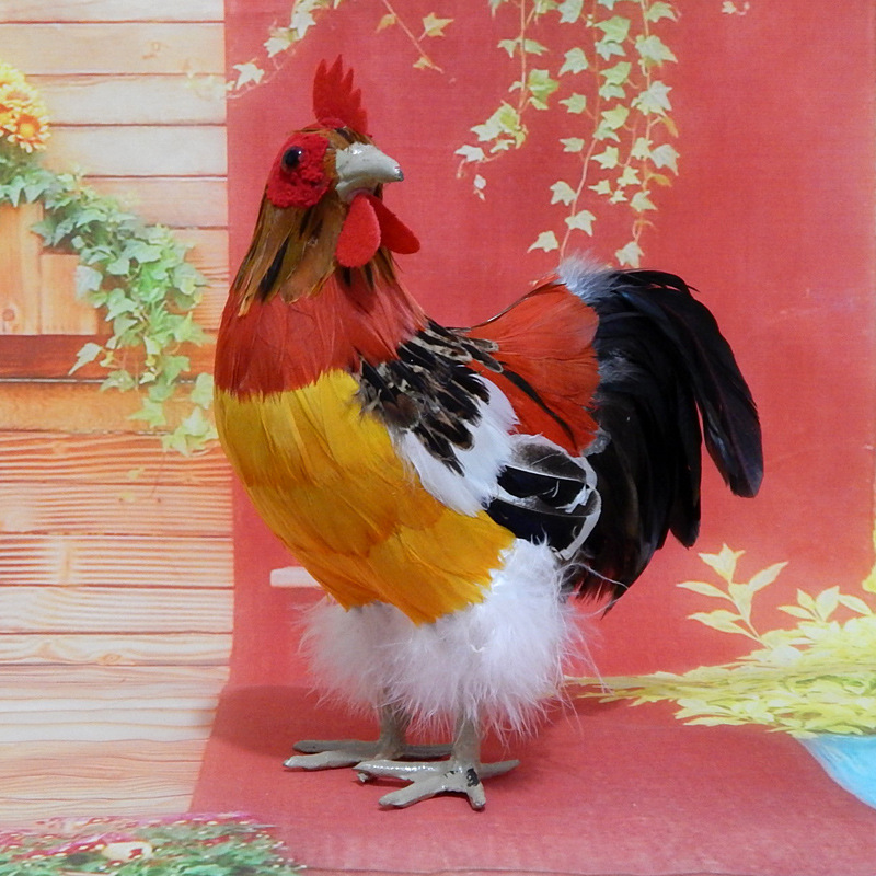 Number three rooster turns head-yellow belly