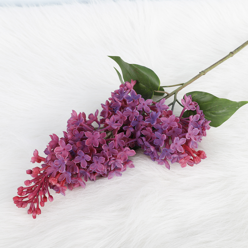Rosso viola