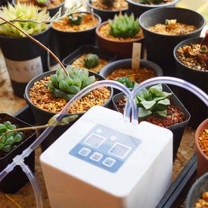 Kit di irrigazione a goccia a batteria automatica <span class=keywords><strong>micro</strong></span> programmabile digitale timer acqua sistema di autoirrigazione per piante da interno in vaso