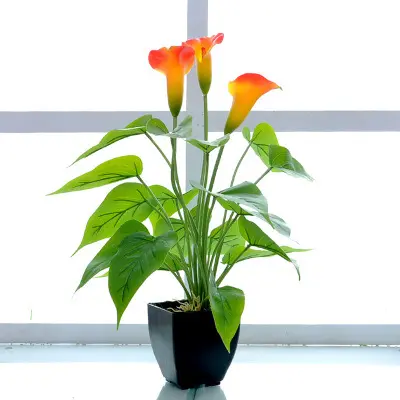 Fzzw001 nouveau design Simulation Artificielle Lys Fleurs En Pot pour la Fête De Mariage D'école De Bureau À La Maison Décor Offre Spéciale Calla Lily