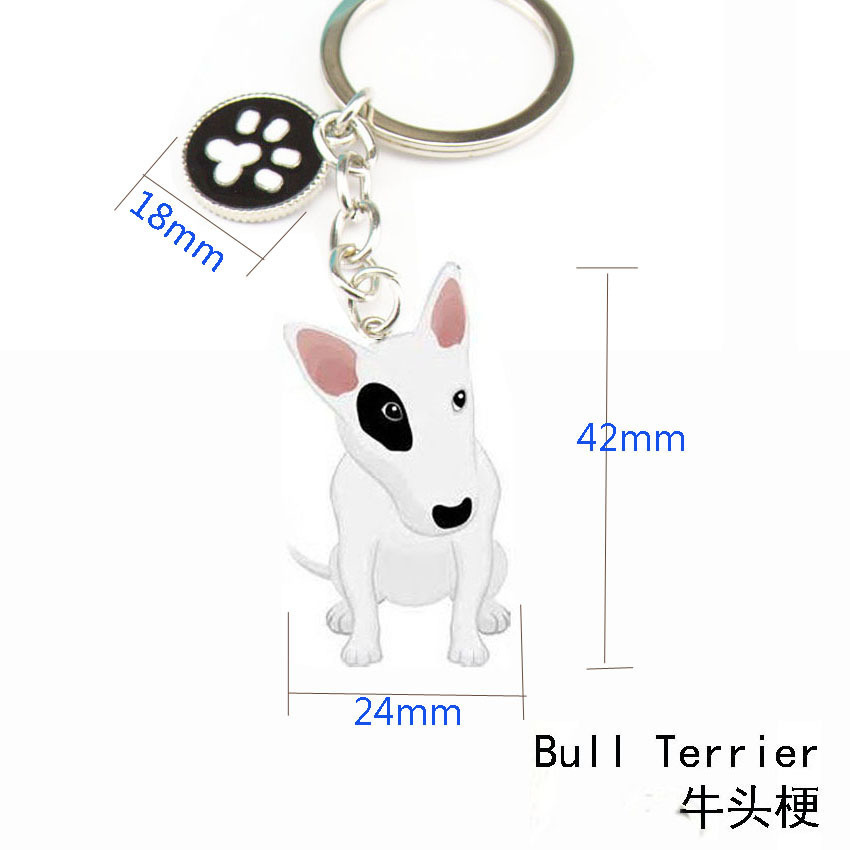 Pied de Bull Terrier