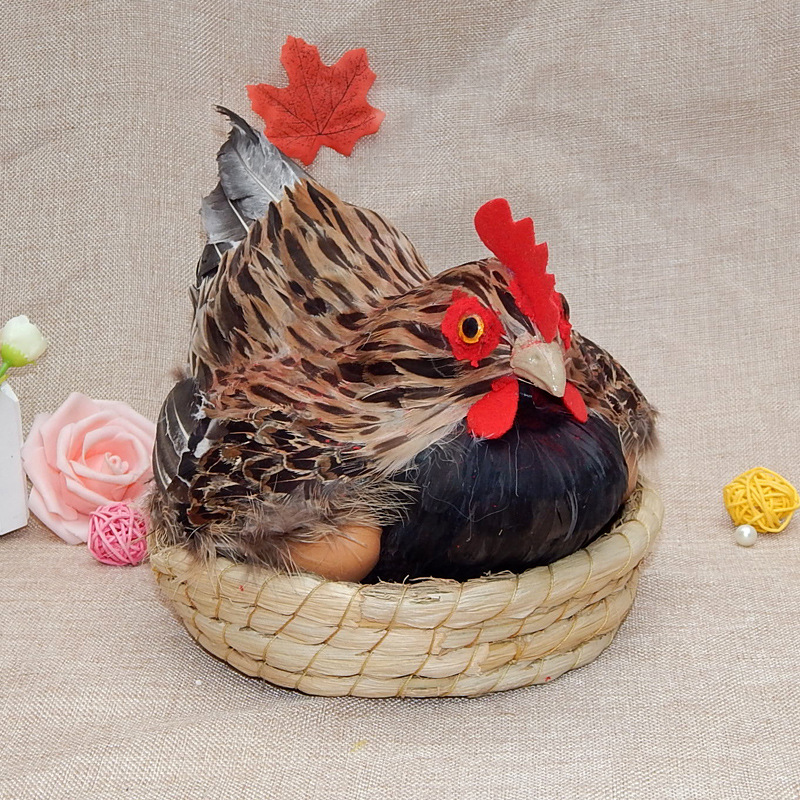 Egg-incubating chicken no1