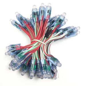 Professional Manufacture DC5V Input <strong>WS2801</strong> Digital Addressable 12mm RGB Full Color LED <strong>Pixel</strong> <strong>String</strong> 50pcs <strong>String</strong> IP68 - Product Image 6