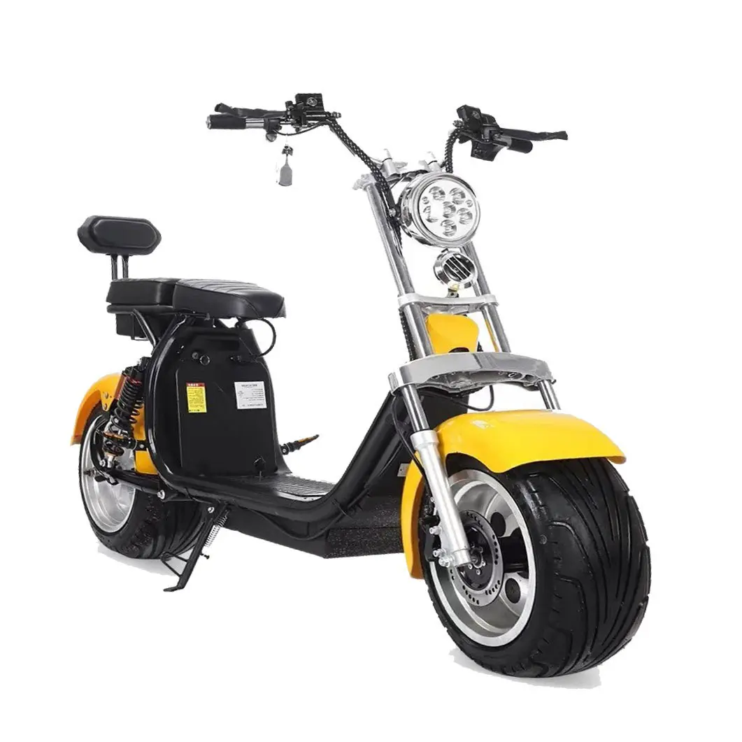 2020 새로운 모델 Citycoco 2000W 20AH 이동식 배터리 스쿠터 전기 오토바이