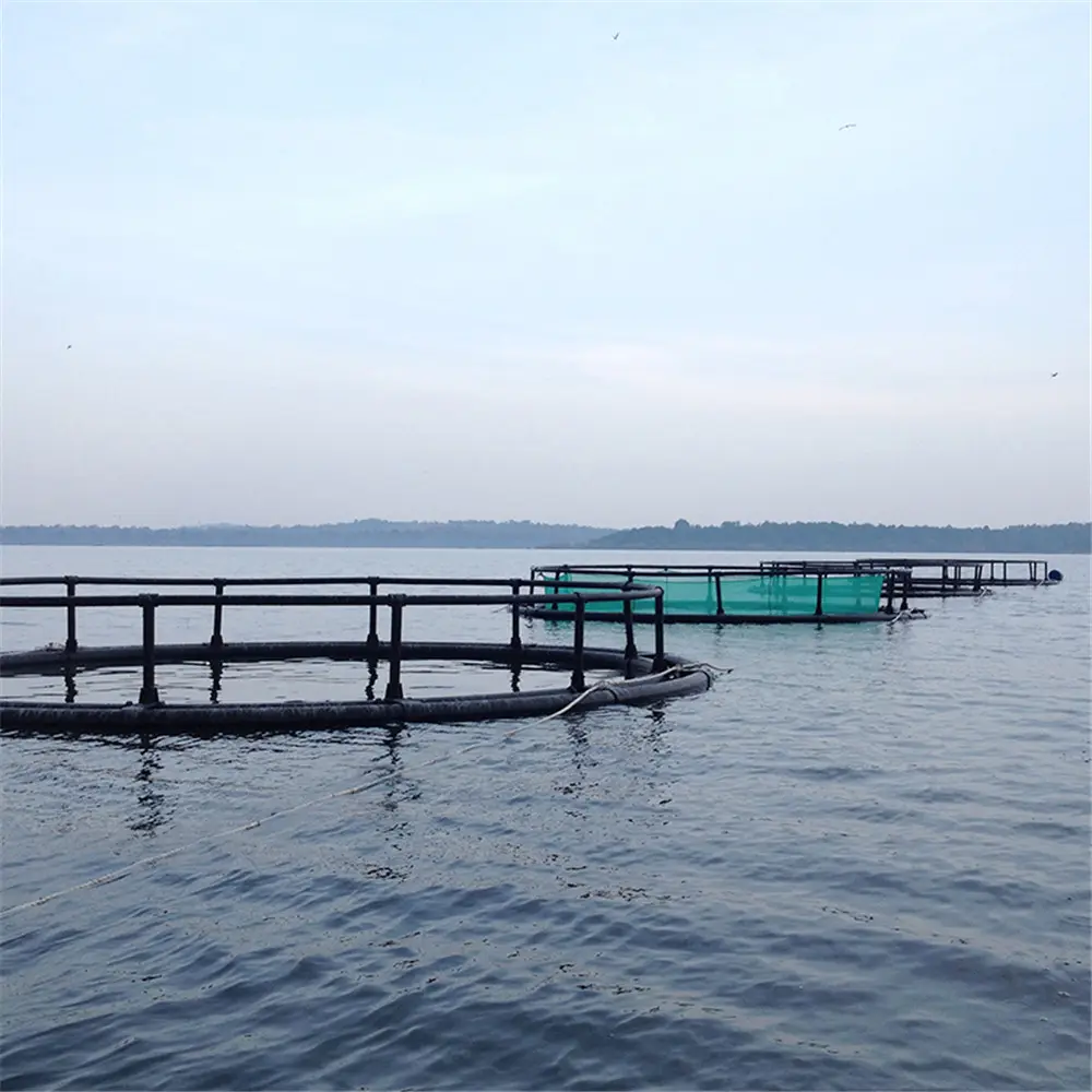 Rede de agricultura de peixes redondos em lago ou mar