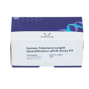 İnsan Telomere uzunluk ölçümü qPCR test kiti (göreceli), araştırma kullanımı için yüksek kalite - Product Image 1