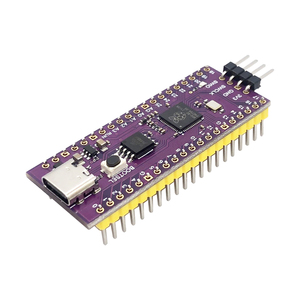 Ahududu Pi Pico geliştirme kurulu yüksek performanslı mikrodenetleyici kurulu RP2040 128Mbit 16MB çift çekirdekli ARM işlemci