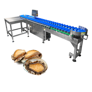 Máquina clasificadora de peso Clasificador para manzana, pera, melocotón, aguacate, mango, frutas y mariscos - Product Image 4