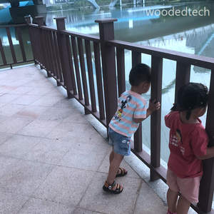 Gỗ composite sàn nhựa lan can không thấm nước, tuổi thọ 25 năm, lắp đặt dễ dàng - Product Image 3