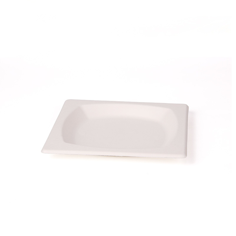Assiette carrée (bagasse de canne à sucre)