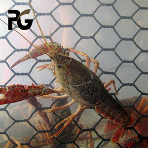 Rete metallica esagonale in filo di ferro zincato di alta qualità - Product Image 2