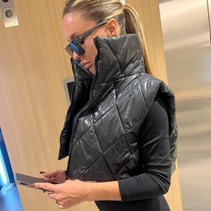 Mùa Thu Mới Đến 2023 Không Tay Kẻ Sọc Bông Áo Khoác Phụ Nữ Mùa Đông Dây Kéo Đứng Cổ Áo Màu Rắn Ngắn Áo Khoác Vest - Product Image 1