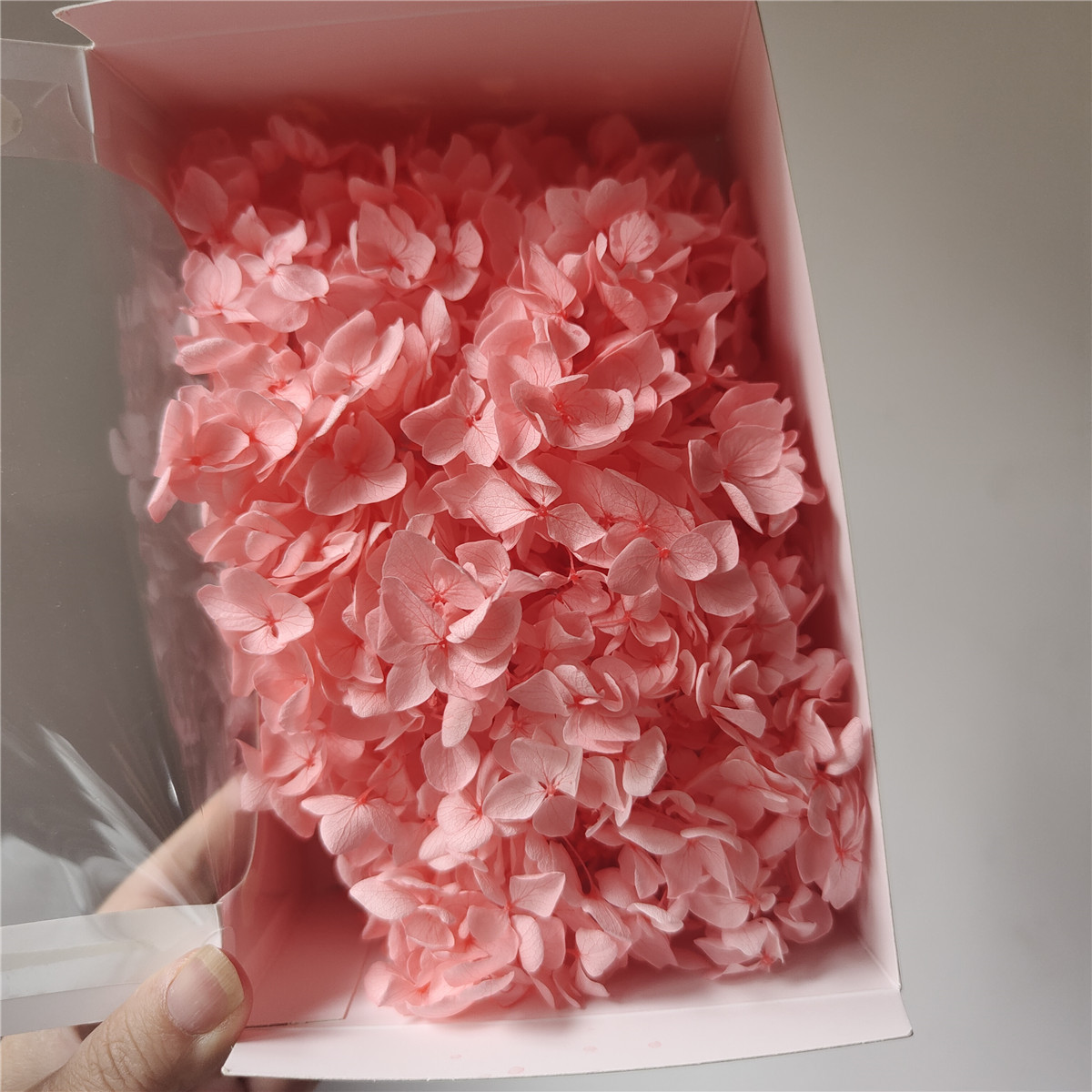 Rose pêche