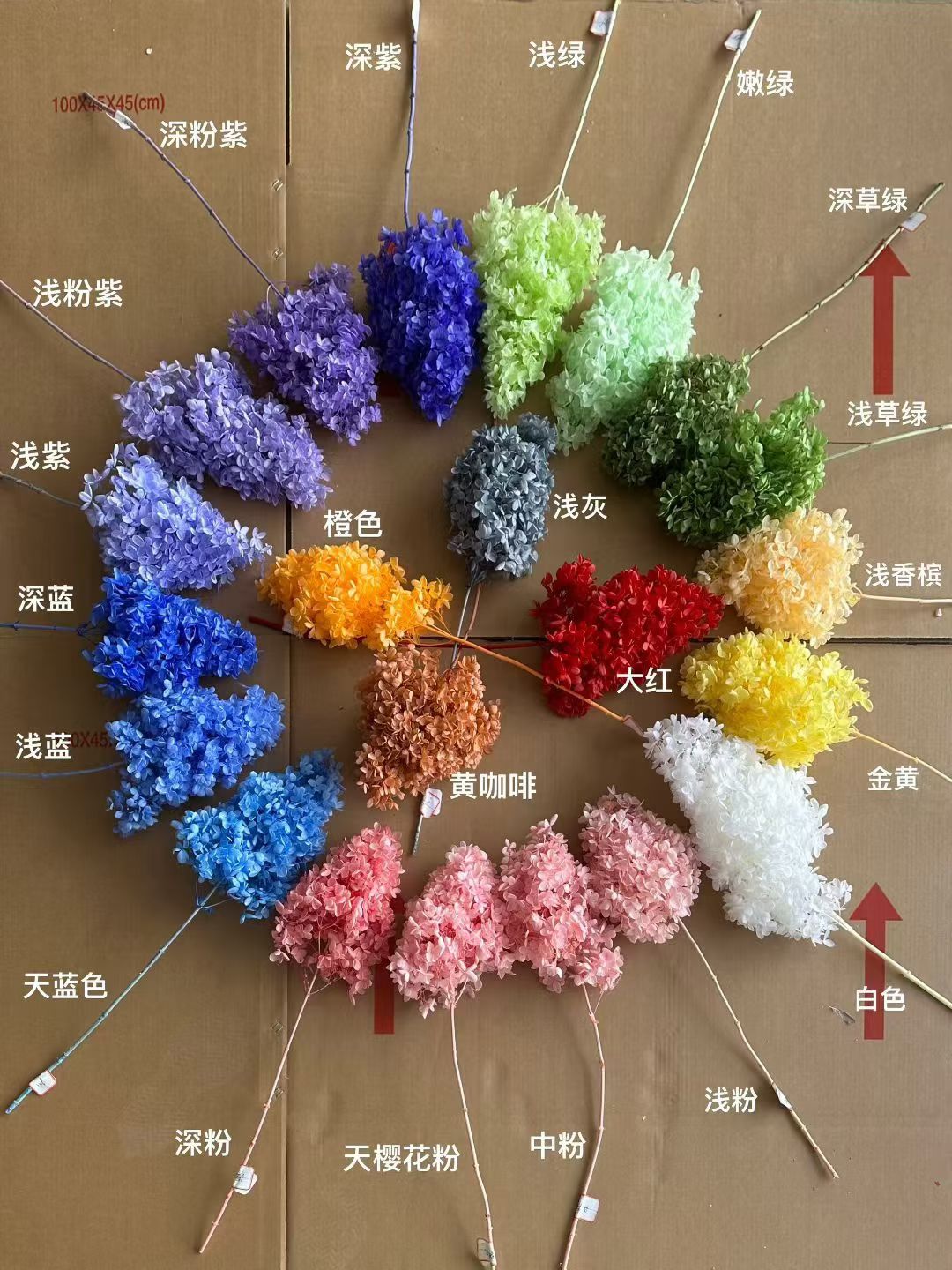 BG004-hydrangea