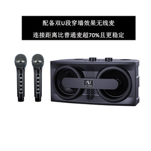 YS206新设计双手持隐藏式卡拉ok麦克风动态麦克风无线，带回声高音低音蓝牙声带变换