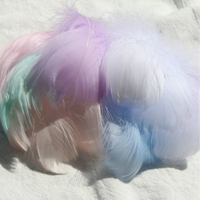 สีสันสดใสคล้ายมาการอง