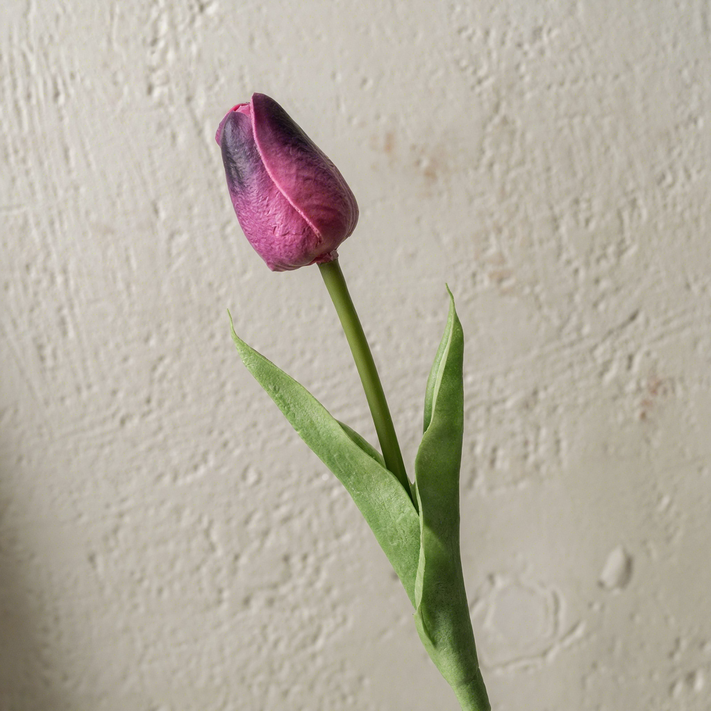 Viola intenso