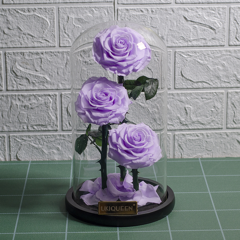 22 viola chiaro