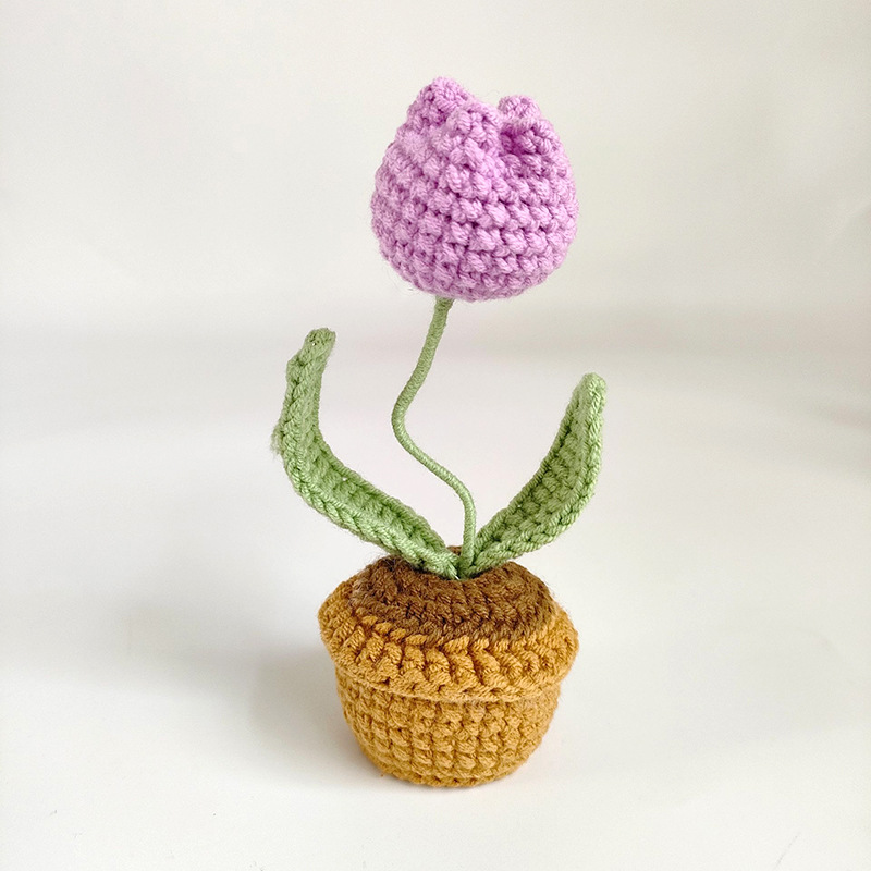 Tulipe