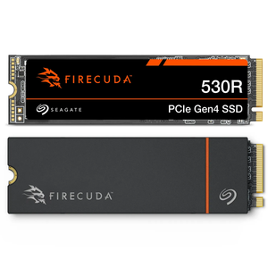 M.2 530R นกทะเลชนิดหนึ่ง2280-D2 1TB PCIe Gen4 x 4 NVMe 1.4โซลิดสเตทไดรฟ์ภายใน ZP1000GM3A073 SSD - Product Image 1
