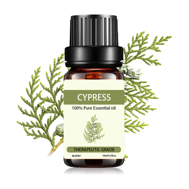 Hermoso aceite esencial de ciprés 10ml Tratamiento de la piel con extracto de plantas