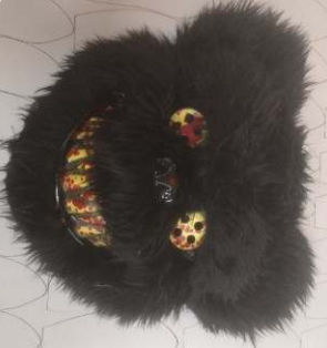 Black bear without led
