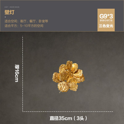 เส้นผ่านศูนย์กลาง 350 มม.