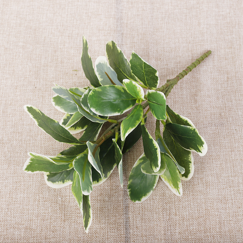 Haitong blanc à 35 feuilles-blanc vert