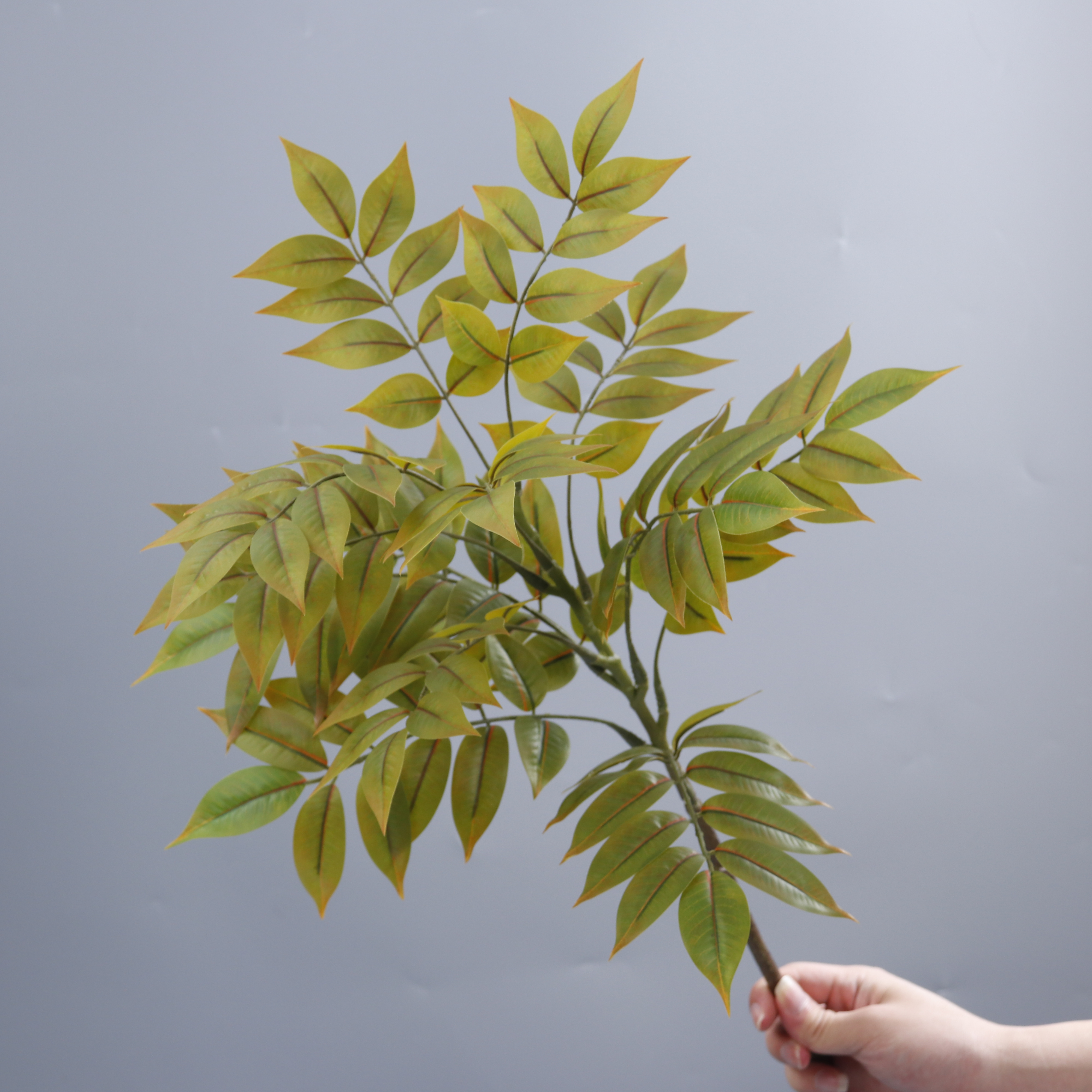 13-head Autumn-colored Single-stem