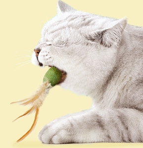 Mouse Shape Natural <strong>Catnip</strong> Cat Toys with Feather Sivervine Stick <strong>Catnip</strong> Cat Toy - Product Image 3