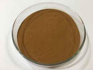 เลมอนบาล์มสารสกัดจากผงมะนาวบาล์มสารสกัดจากเมลิสสา Officinalis L. - Product Image 4
