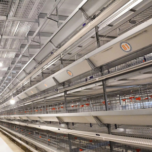 Con la función de recolección automática de huevos se puede diseñar el programa de cría de pollos ponedores