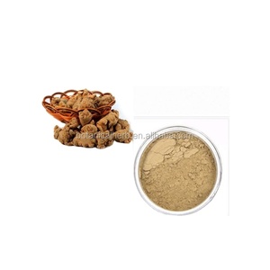 Üretim kaynağı 75% Radix Notoginseng P.E. Özü tozu ile zengin Ginsenoside Rb1 Rg1 R1 gelen Panax notoginseng(Burk.) F.H. - Product Image 4