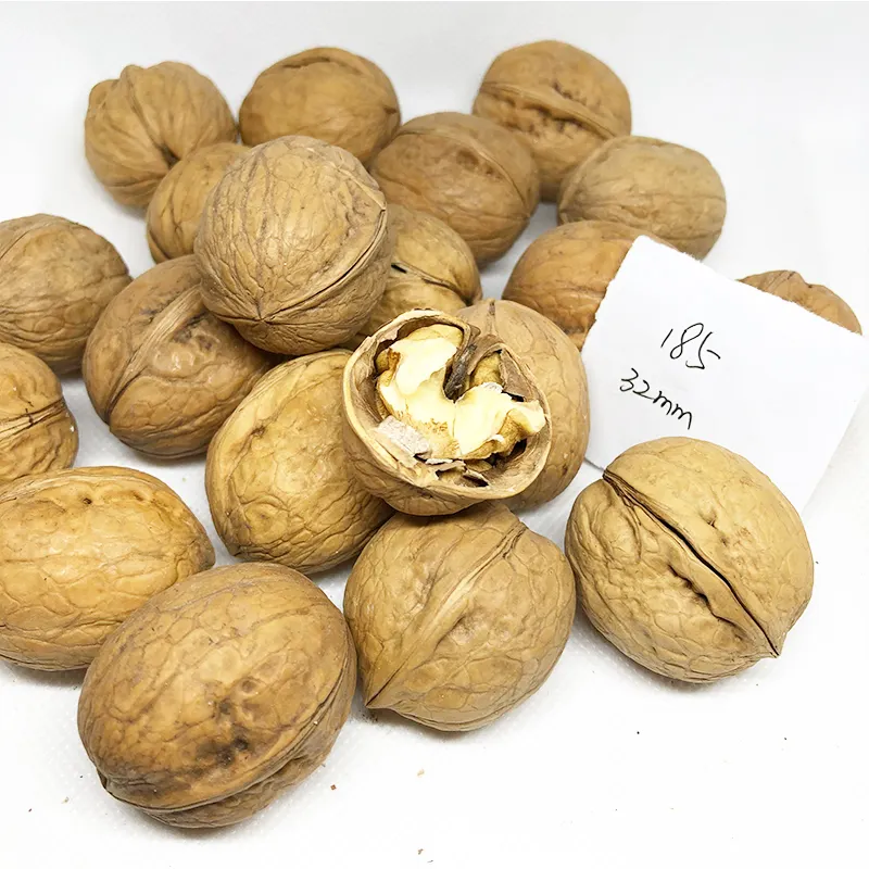 2020 Crop 185 Walnut Top Quality Xinjiang Thin Shell Walnuts
