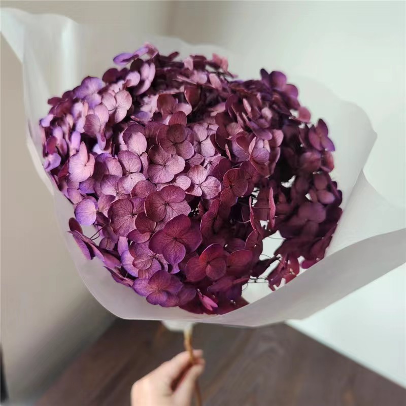 violet foncé sans blanchiment