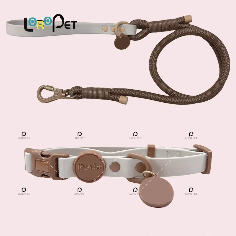 LORO PET OEM Custom length heavy duty pet rope leash webbing multifunctional pet Dog leash with Dog Poop Bag Holder