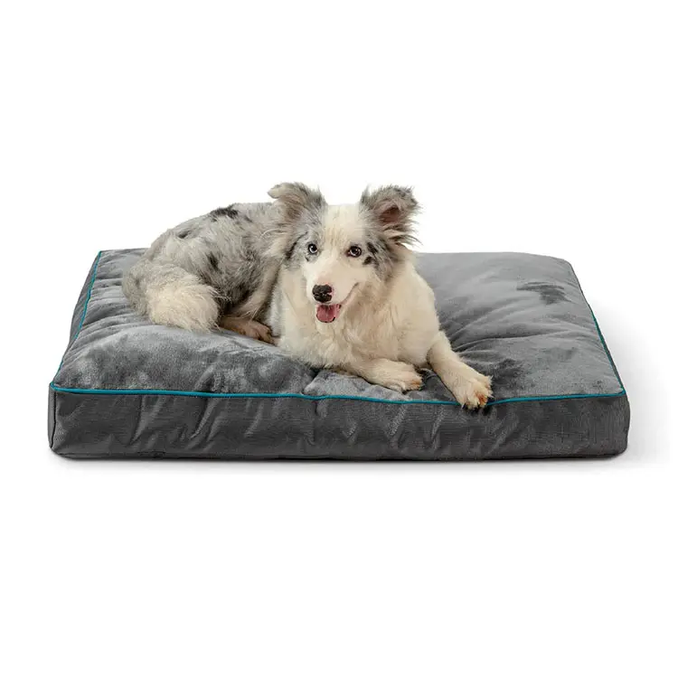 Toptan özel oem küçük organik % 100% pamuk ev su geçirmez ucuz ortopedik köpek kare peluş yataklar logo ile