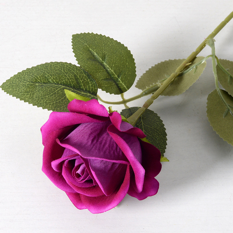 Purple - B